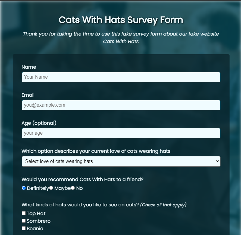 survey form project